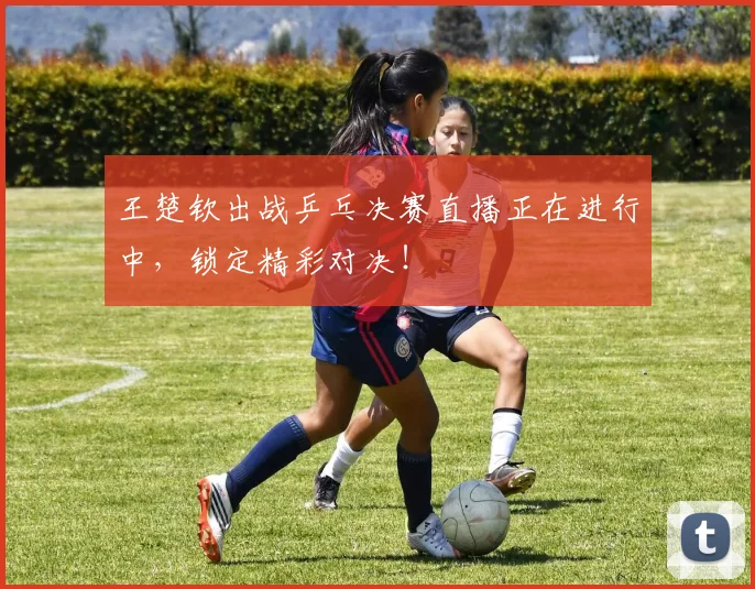 王楚钦出战乒乓决赛直播正在进行中,锁定精彩对决!