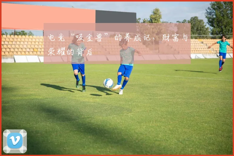 电竞“吸金兽”的养成记，财富与荣耀的背后